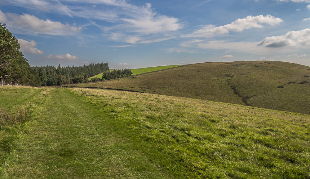 Bridge-end Pasture